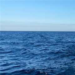 Vignette illustrant cette actualité