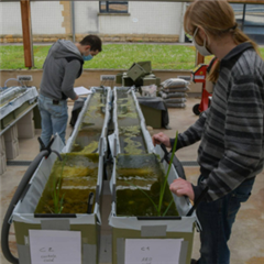 Vignette illustrant cette actualité