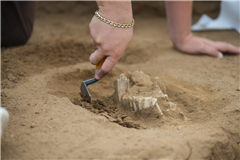 Vignette illustrant cette actualité