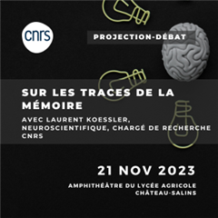 Vignette illustrant cette actualité