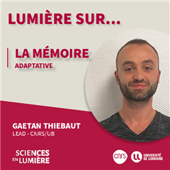 Vignette illustrant cette actualité