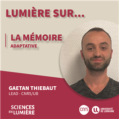 Vignette illustrant cette actualité