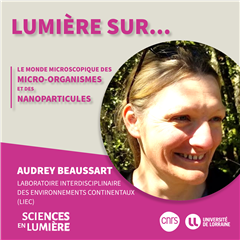 Vignette illustrant cette actualité