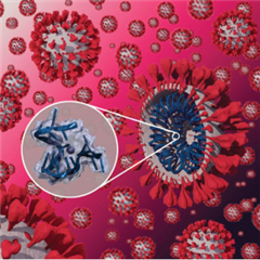 Vignette illustrant cette actualité
