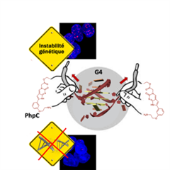 Vignette illustrant cette actualité