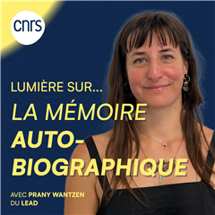 Vignette illustrant cette actualité