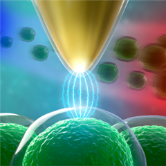 Vignette illustrant cette actualité