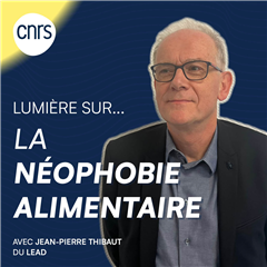 Vignette illustrant cette actualité