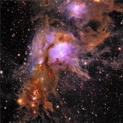 Vignette illustrant cette actualité