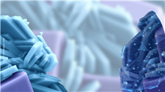 Vignette illustrant cette actualité