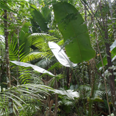 Vignette illustrant cette actualité