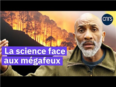 Vignette illustrant cette actualité