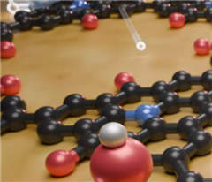 Vignette illustrant cette actualité