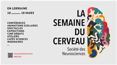 Vignette illustrant cette actualité