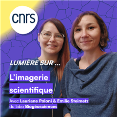 Vignette illustrant cette actualité