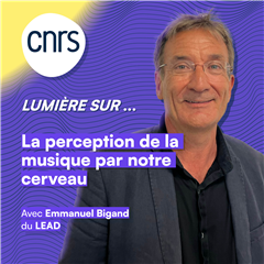 Vignette illustrant cette actualité