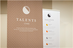 Vignette illustrant cette actualité