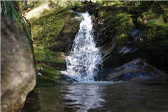 Image illustrant cette actualité