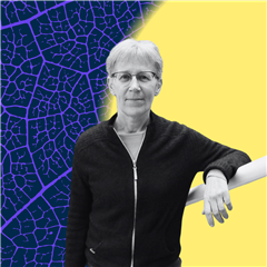 Image illustrant cette actualité