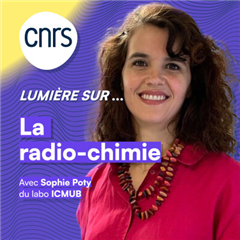 Image illustrant cette actualité