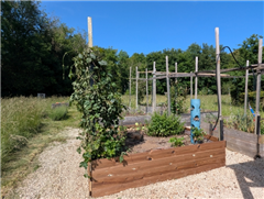 Vignette illustrant cette actualité