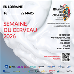 Image illustrant cette actualité