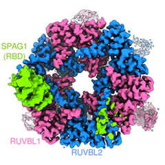 Vignette illustrant cette actualité