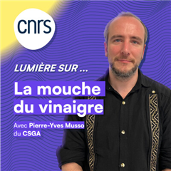 Vignette illustrant cette actualité