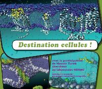 Vignette illustrant cette actualité