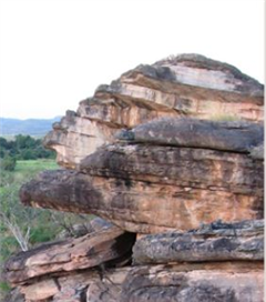 Vignette illustrant cette actualité