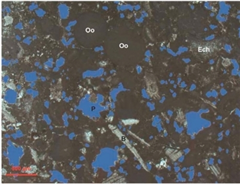 Vignette illustrant cette actualité