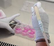 Vignette illustrant cette actualité