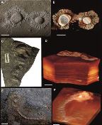 Vignette illustrant cette actualité