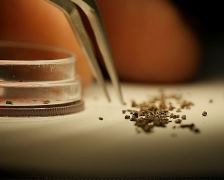 Vignette illustrant cette actualité