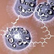 Vignette illustrant cette actualité