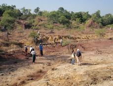 Vignette illustrant cette actualité