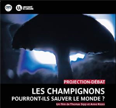 Vignette illustrant cette actualité