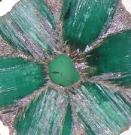 Vignette illustrant cette actualité