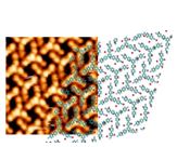 Vignette illustrant cette actualité