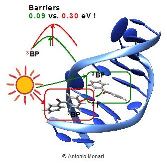 Vignette illustrant cette actualité
