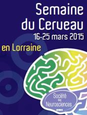 Vignette illustrant cette actualité