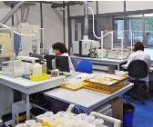 Vignette illustrant cette actualité