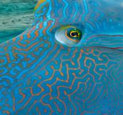 Vignette illustrant cette actualité