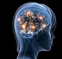 Vignette illustrant cette actualité