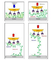 Vignette illustrant cette actualité