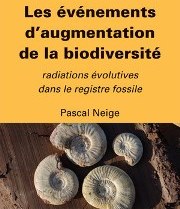 Vignette illustrant cette actualité