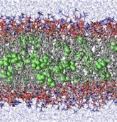 Vignette illustrant cette actualité