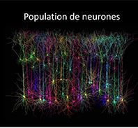 Vignette illustrant cette actualité