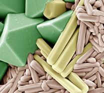 Vignette illustrant cette actualité