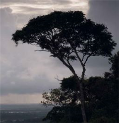 Vignette illustrant cette actualité